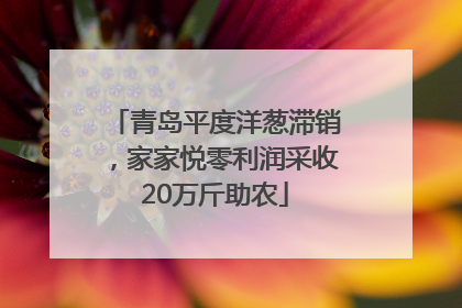 青岛平度洋葱滞销，家家悦零利润采收20万斤助农