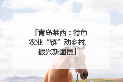 青岛莱西：特色农业“链”动乡村振兴新图景