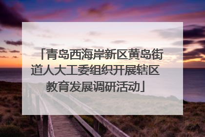 青岛西海岸新区黄岛街道人大工委组织开展辖区教育发展调研活动