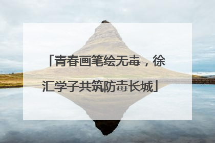 青春画笔绘无毒，徐汇学子共筑防毒长城
