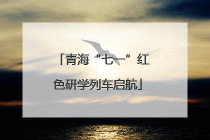 青海“七一”红色研学列车启航