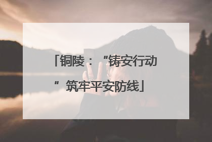 铜陵：“铸安行动”筑牢平安防线