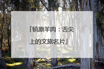 镇原羊肉：舌尖上的文旅名片