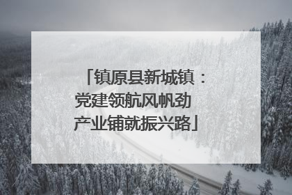 镇原县新城镇：党建领航风帆劲 产业铺就振兴路