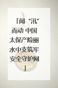 闻“汛”而动 中国太保产险丽水中支筑牢安全守护网