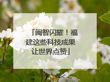 闽智闪耀！福建这些科技成果让世界点赞