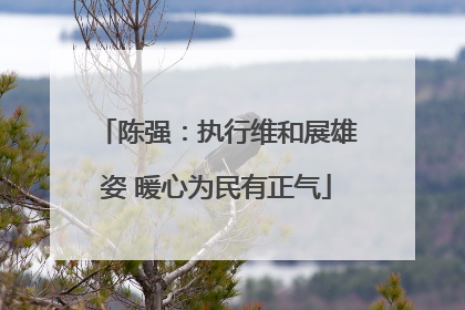 陈强：执行维和展雄姿 暖心为民有正气