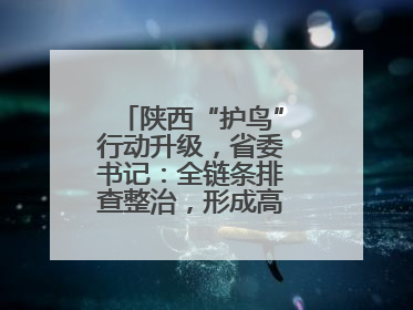 陕西“护鸟”行动升级，省委书记：全链条排查整治，形成高压震慑态势