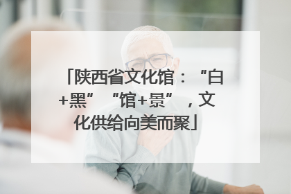 陕西省文化馆：“白+黑”“馆+景”，文化供给向美而聚