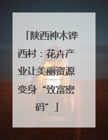 陕西神木铧西村：花卉产业让美丽资源变身“致富密码”