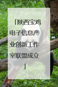 陕西宝鸡电子信息产业创新工作室联盟成立