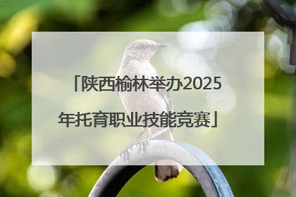 陕西榆林举办2025年托育职业技能竞赛