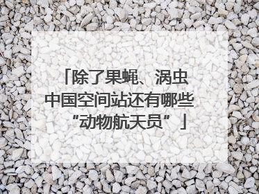 除了果蝇、涡虫 中国空间站还有哪些“动物航天员”
