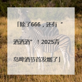 除了666，还有“酒酒酒”！2025青岛啤酒节首发燃了