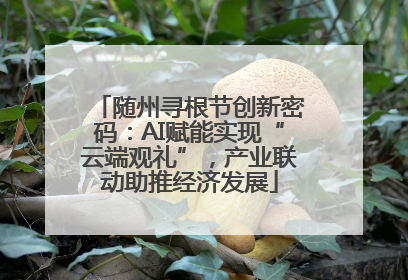 随州寻根节创新密码：AI赋能实现“云端观礼”，产业联动助推经济发展