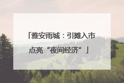 雅安雨城：引摊入市 点亮“夜间经济”
