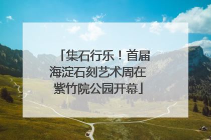 集石行乐！首届海淀石刻艺术周在紫竹院公园开幕