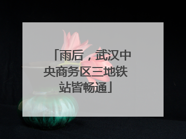 雨后，武汉中央商务区三地铁站皆畅通