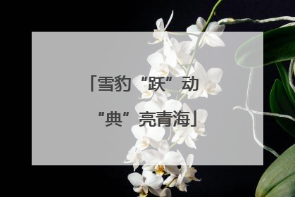 雪豹“跃”动 “典”亮青海