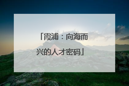 霞浦：向海而兴的人才密码