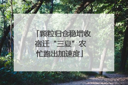 颗粒归仓稳增收 宿迁“三夏”农忙跑出加速度