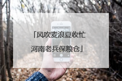 风吹麦浪夏收忙 河南老兵保粮仓