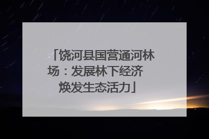 饶河县国营通河林场：发展林下经济 焕发生态活力