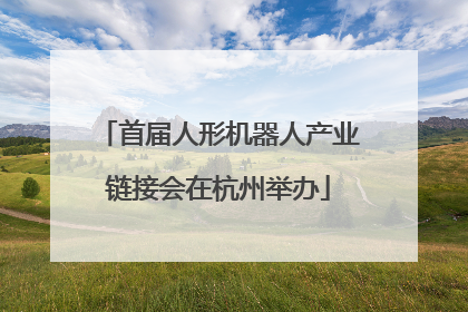 首届人形机器人产业链接会在杭州举办