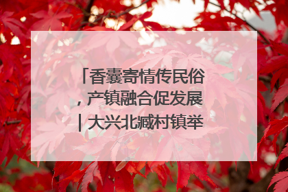 香囊寄情传民俗，产镇融合促发展｜大兴北臧村镇举办端午主题活动