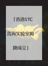香港STC青海实验室揭牌成立