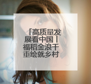 高质量发展看中国丨福稻金浪千重绘就乡村振兴“丰”景图