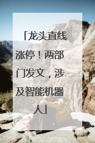 龙头直线涨停！两部门发文，涉及智能机器人