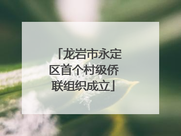 龙岩市永定区首个村级侨联组织成立