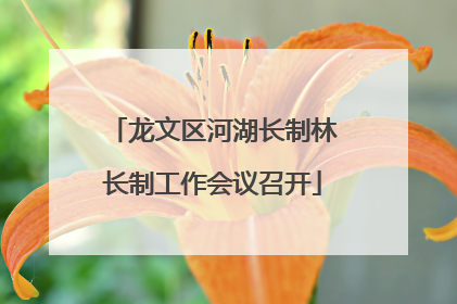 龙文区河湖长制林长制工作会议召开