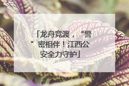 龙舟竞渡，“警”密相伴！江西公安全力守护