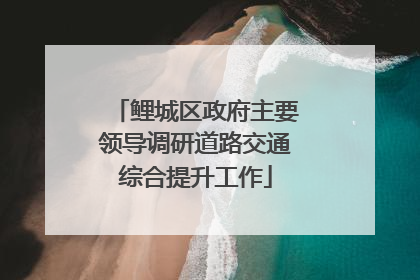 鲤城区政府主要领导调研道路交通综合提升工作