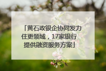 黄石政银企协同发力住更领域，17家银行提供融资服务方案