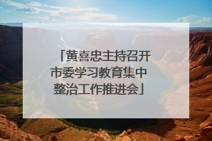 黄喜忠主持召开市委学习教育集中整治工作推进会