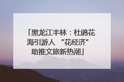 黑龙江丰林：杜鹃花海引游人 “花经济”助推文旅新热潮