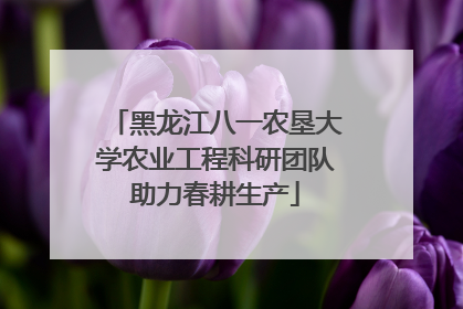 黑龙江八一农垦大学农业工程科研团队助力春耕生产