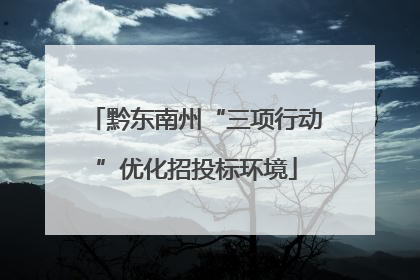 黔东南州“三项行动”优化招投标环境
