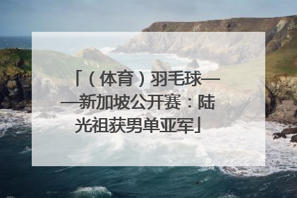 （体育）羽毛球——新加坡公开赛：陆光祖获男单亚军