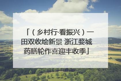 （乡村行·看振兴）一田双收绘新景 浙江婺城药膳轮作喜迎丰收季