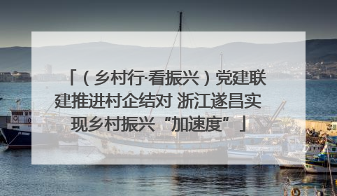 （乡村行·看振兴）党建联建推进村企结对 浙江遂昌实现乡村振兴“加速度”