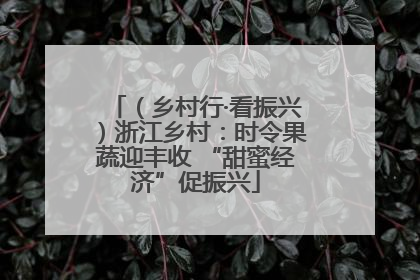 （乡村行·看振兴）浙江乡村：时令果蔬迎丰收 “甜蜜经济”促振兴
