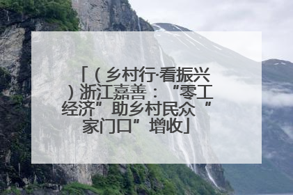 （乡村行·看振兴）浙江嘉善：“零工经济”助乡村民众“家门口”增收