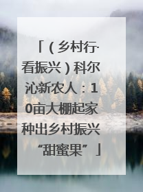 （乡村行·看振兴）科尔沁新农人：10亩大棚起家种出乡村振兴“甜蜜果”