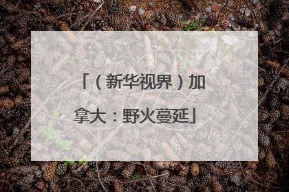 （新华视界）加拿大：野火蔓延