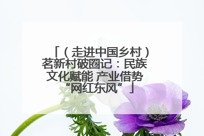 （走进中国乡村）茗新村破圈记：民族文化赋能 产业借势 “网红东风”