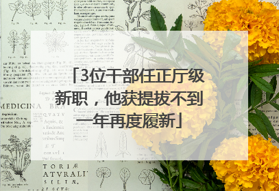 3位干部任正厅级新职，他获提拔不到一年再度履新
